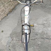 Bicicletta donna Brazzo