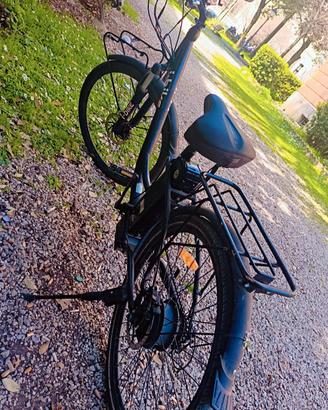 bici elettrica 