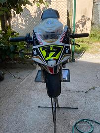 Minimoto Bzm 50cc pronto gara