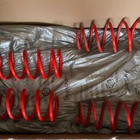 Molle Ribassate per Mazda MX5 type ND 1.5