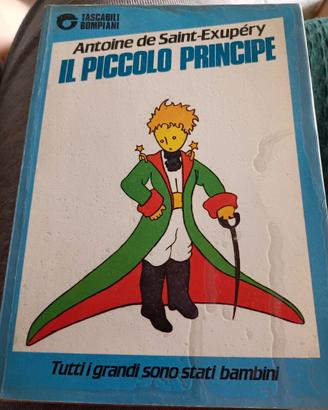 libro il piccolo principe 