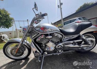 Harley davidson v rod 100th