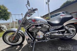 Harley davidson v rod 100th