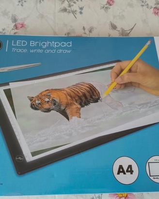 tavola luminosa per disegno 