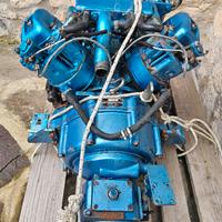 Motore entrobordo Nanni Farymann R30