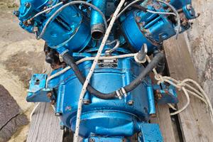 Motore entrobordo Nanni Farymann R30