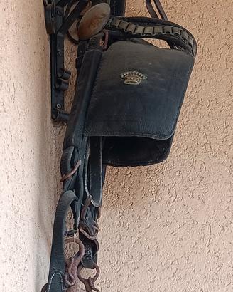 Briglia con morso e paraocchi nobile