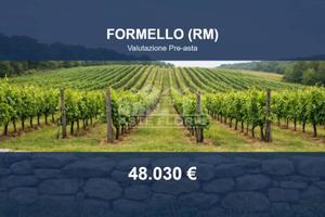 Immobile in asta di 31053 m² a Formello