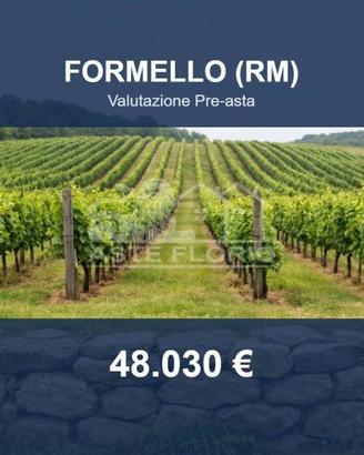 Immobile in asta di 31053 m² a Formello