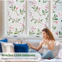 Pellicola per finestre