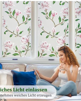 Pellicola per finestre