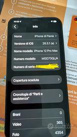 apple iphone 12 pro max immacolato nessun graffio