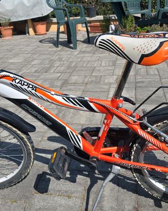 Bici Bambino 6/10 anni
