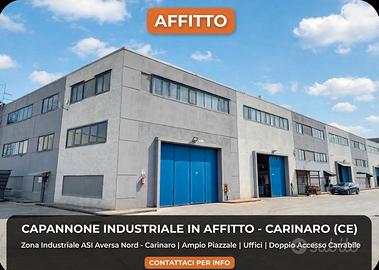 Capannone industriale zona Carinaro 
