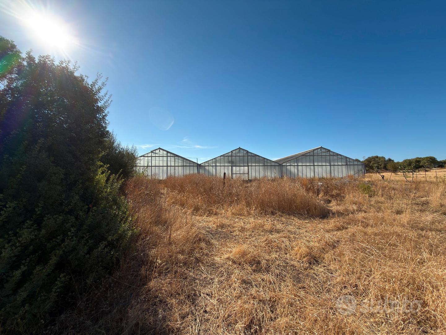 Terreno agricolo con ampia serra e risorsa idrica - Vista 2