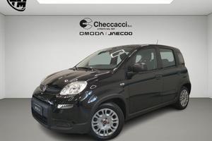 FIAT Panda 3ª serie Panda 1.0 FireFly S&S Hybrid
