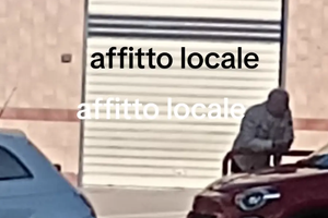Attività