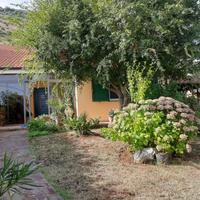 Porzione di bifamiliare