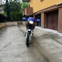 Ho da dominator 650