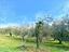 Immagine 19
