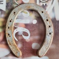 Ferro da cavallo da collezione