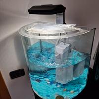 acquario 