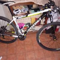 Mtb Cannondale 29er full carbon lefty taglia L