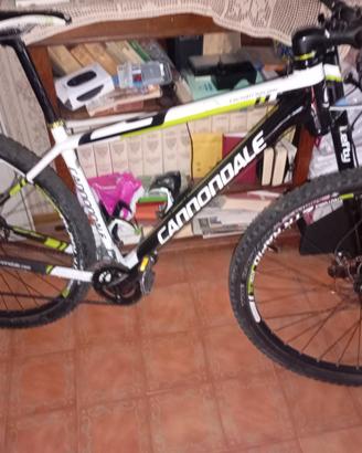 Mtb Cannondale 29er full carbon lefty taglia L