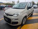 fiat-panda-1-2-easypower-pandazzurri-gpl