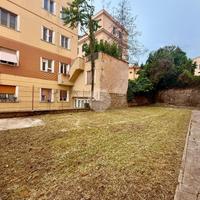 TER. AGRICOLO A ROMA