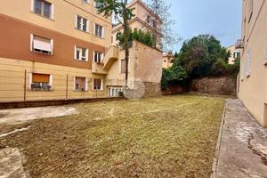 TER. AGRICOLO A ROMA