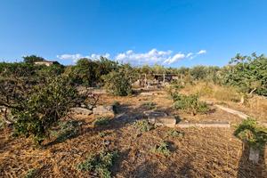 terreno agricolo zona schettino Paternò 