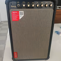 POSITIVE GRID SPARK LIVE CASSA ED EFFETTI