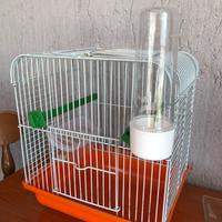 GABBIA X UCCELLI “ NUOVI “