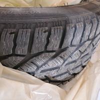 Gomme termiche Riken