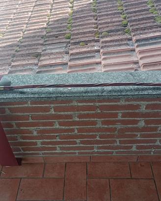 Bastone da passeggio/bosco/funghi, fatto a mano.