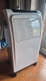 Raffrescatore evaporativo (e stufa)