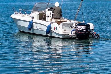 Capelli 21 WA + Evinrude H.O. 150 hp TUTTO 2008