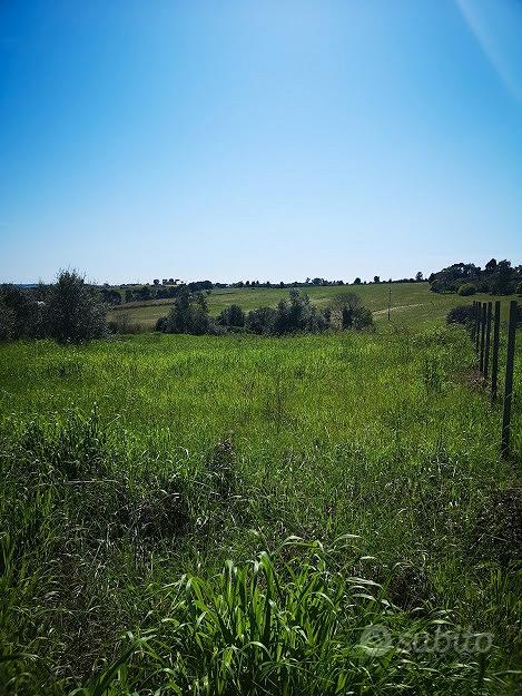 Terreno agricolo - Vista 2