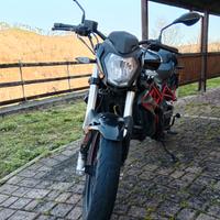 Moto Benelli Bn 125 2021