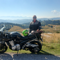 Suzuki Gsf 1250s Bandit abs