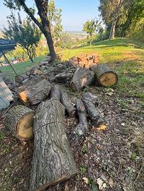 Legna di quercia da ardere