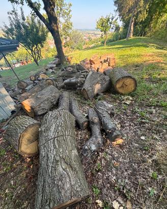 Legna di quercia da ardere