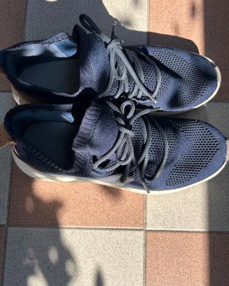 Sneaker Timberland da uomo colore blu taglia 43