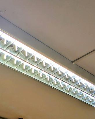 Lampade neon