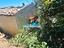 Immagine 19