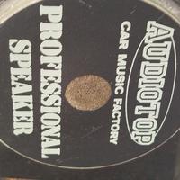 Speaker Professionali Audiotop A Mobiletto 