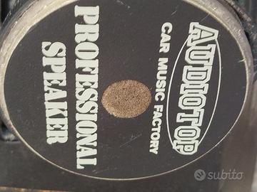 Speaker Professionali Audiotop A Mobiletto 