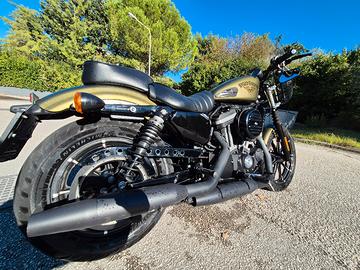 harley iron 883