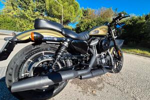harley iron 883